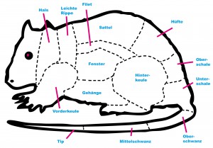 Schema